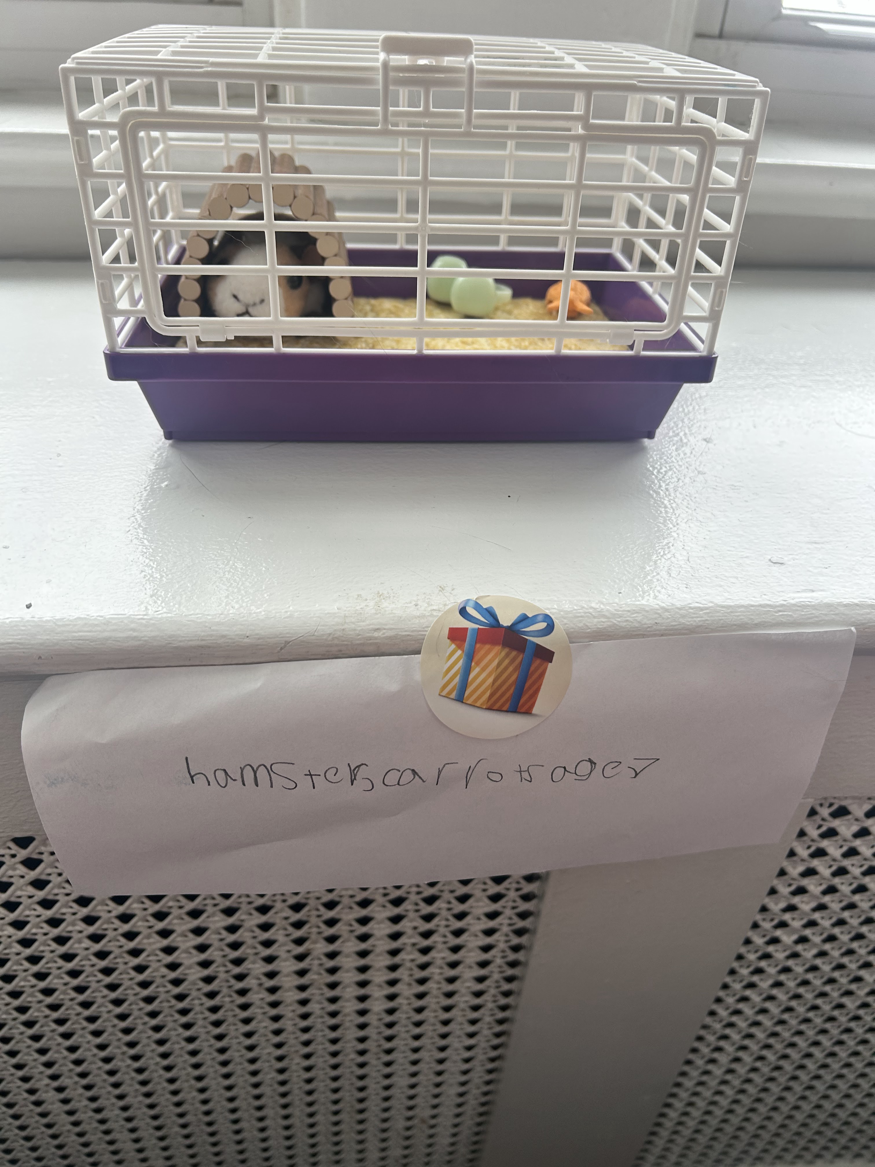 Carrots the Hamster