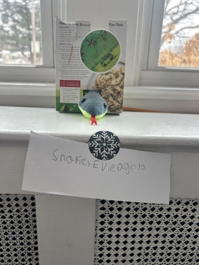 A toy snake in their “habitat” made from an empty pasta box 