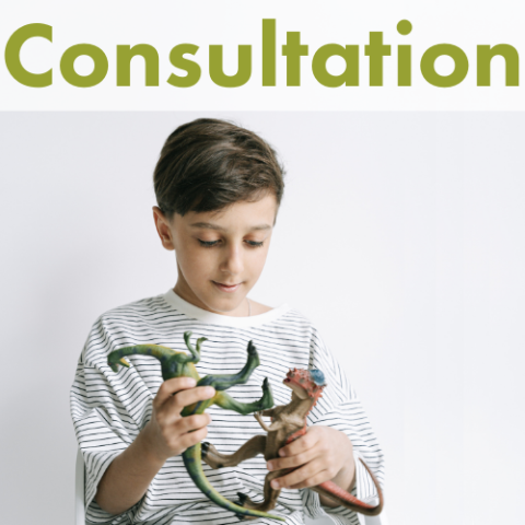 Consultation